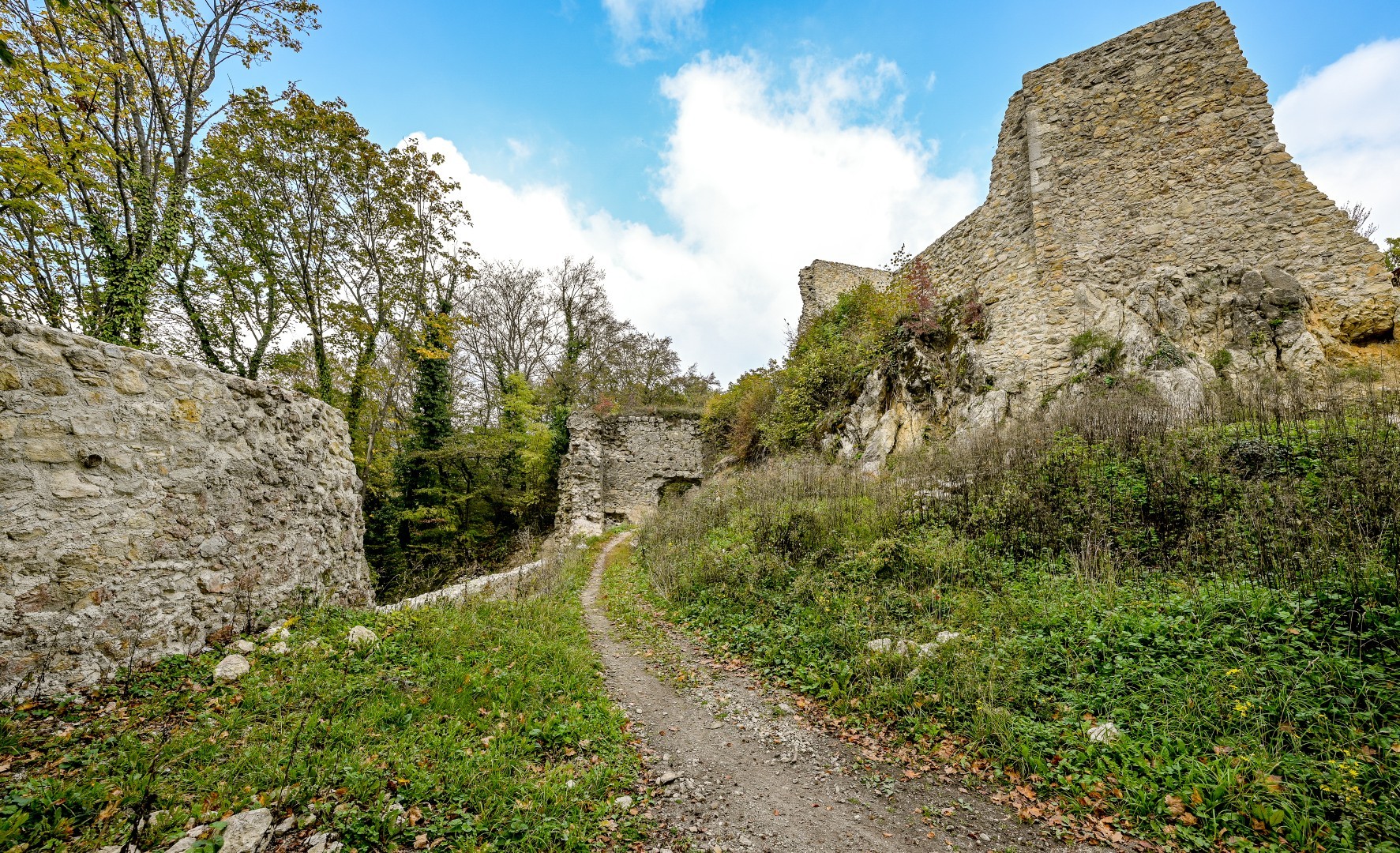 Događaji Slika